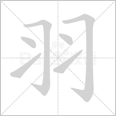 羽 字|羽的解释